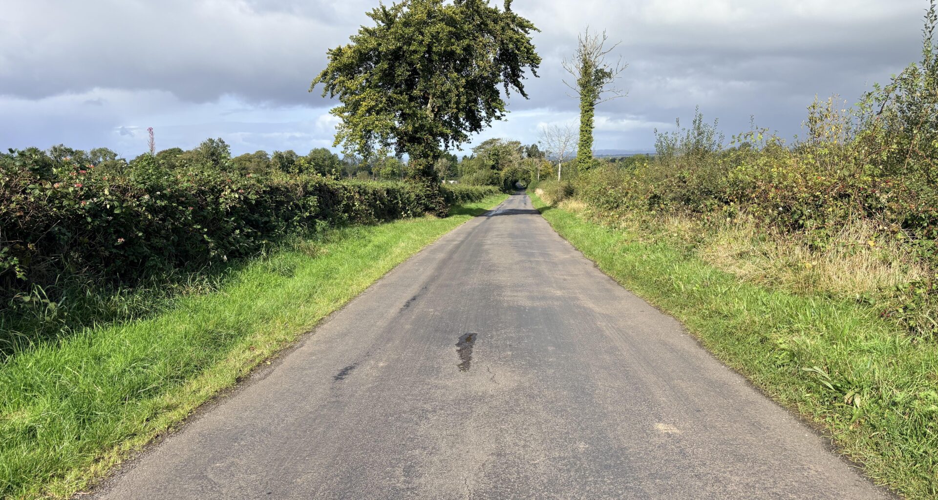 Quare day for a dander