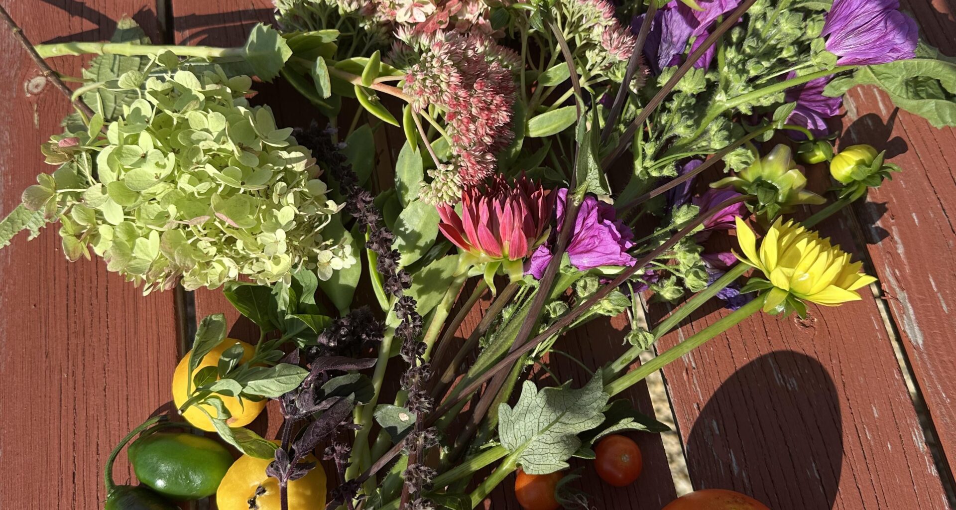 Meine Tomaten Saison neigt sich ganz langsam dem Ende zu💚 wie sieht es bei euch aus?
