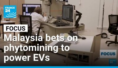 Shifting gears: Malaysia bets on indigenous plant for EV future • FRANCE 24 English