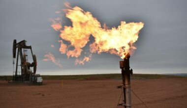 Newswise: Why Do Big Oil Companies Invest in Green Energy?