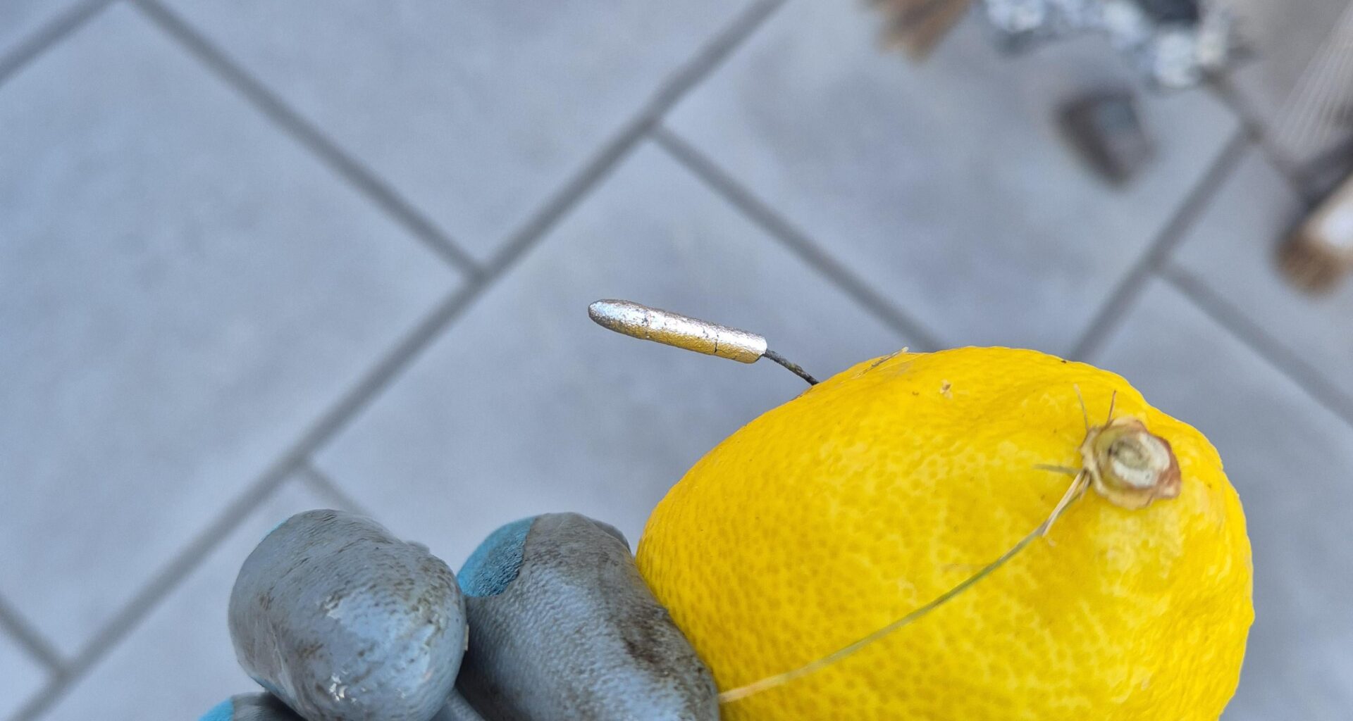 Had this thrown into my garden yesterday, is it a sparkler??