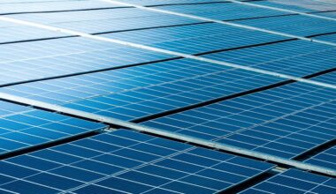 Bulgaria fails to halt US enforcement of intra-EU award