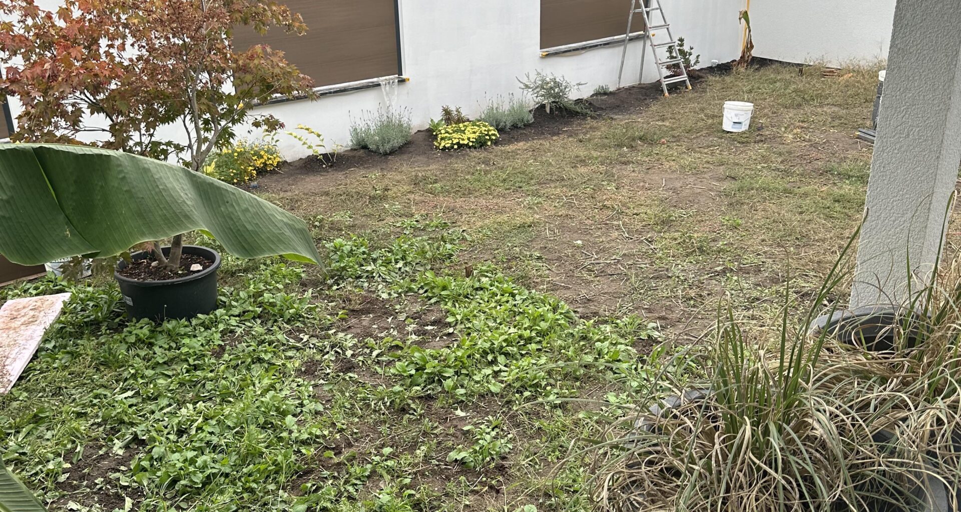 Boden für Rollrasen vorbereiten - wie geht man am besten vor?