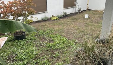 Boden für Rollrasen vorbereiten - wie geht man am besten vor?