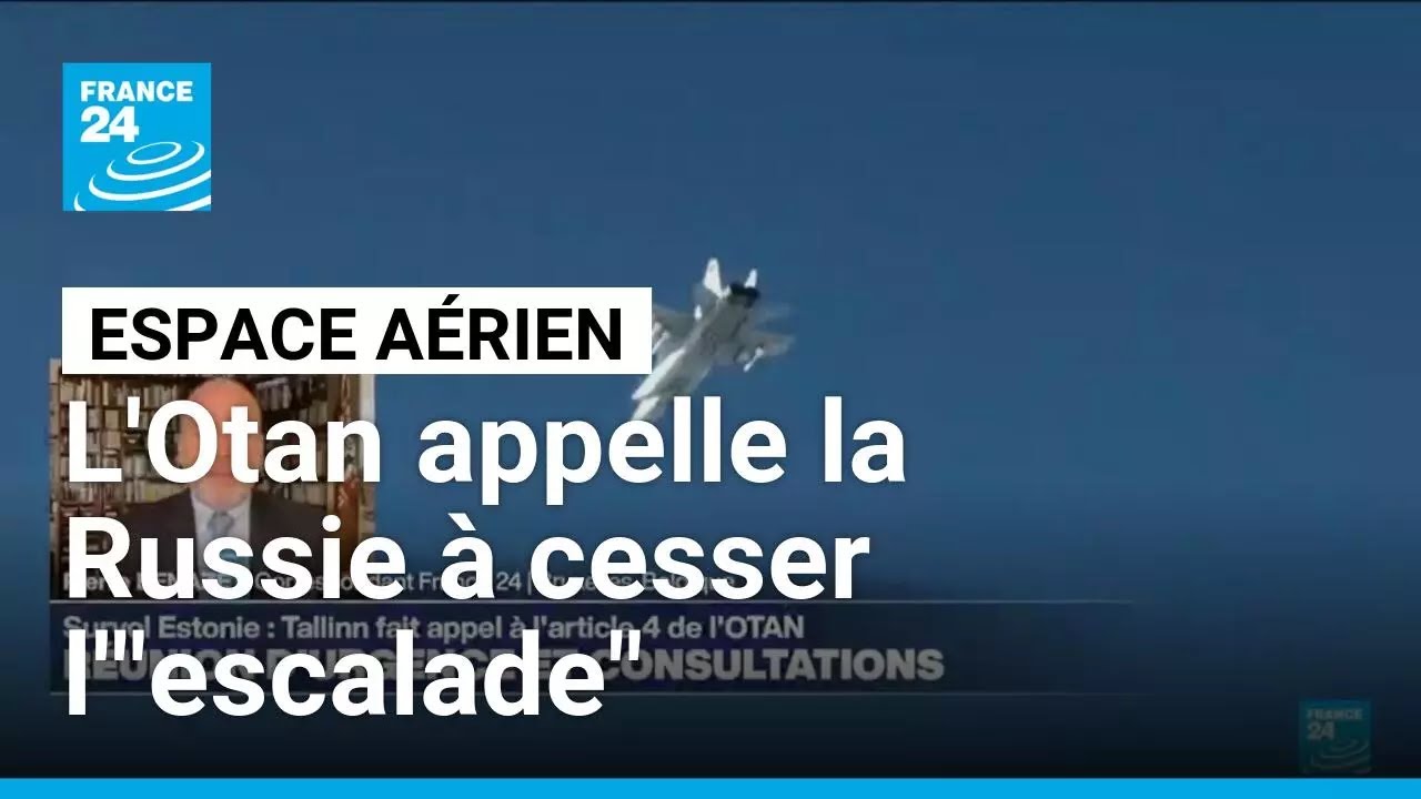 Violations de l'espace aérien : l'Otan appelle la Russie à cesser l'"escalade" • FRANCE 24