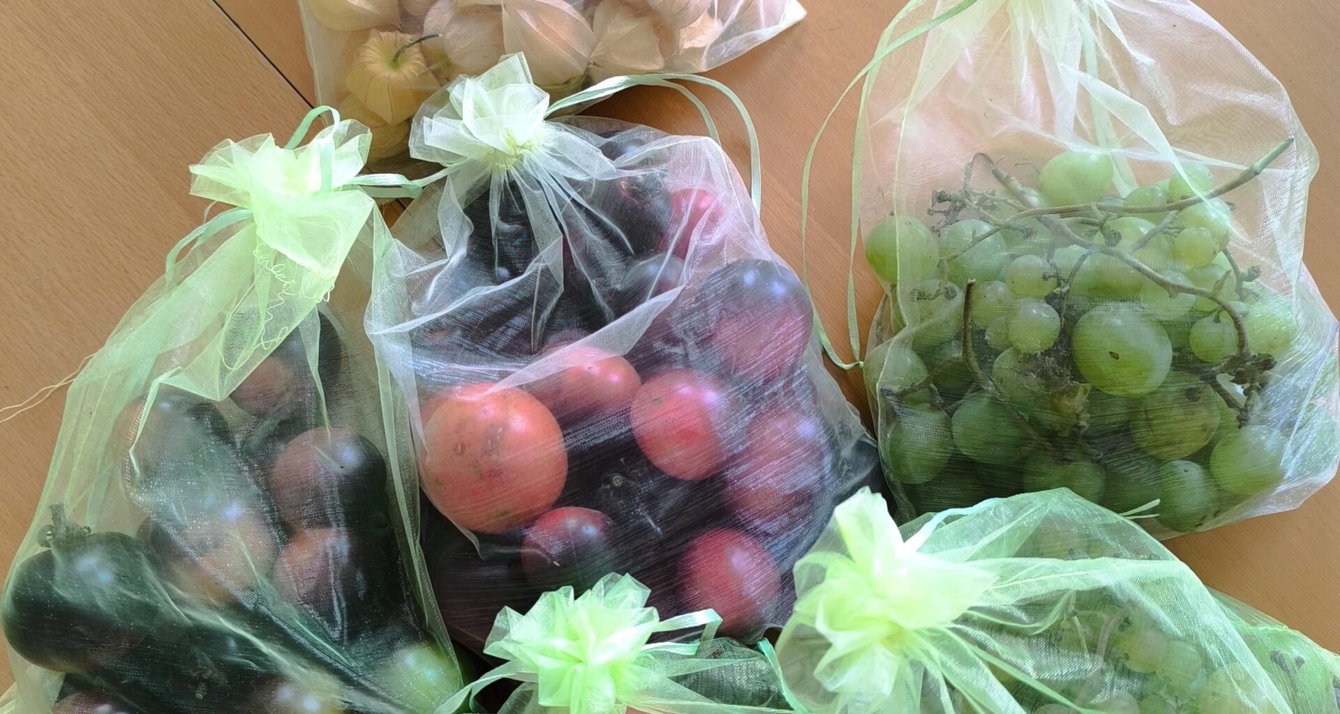 Gestrige letzte Ernte