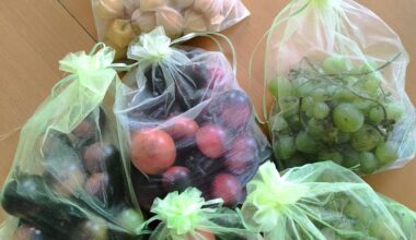 Gestrige letzte Ernte