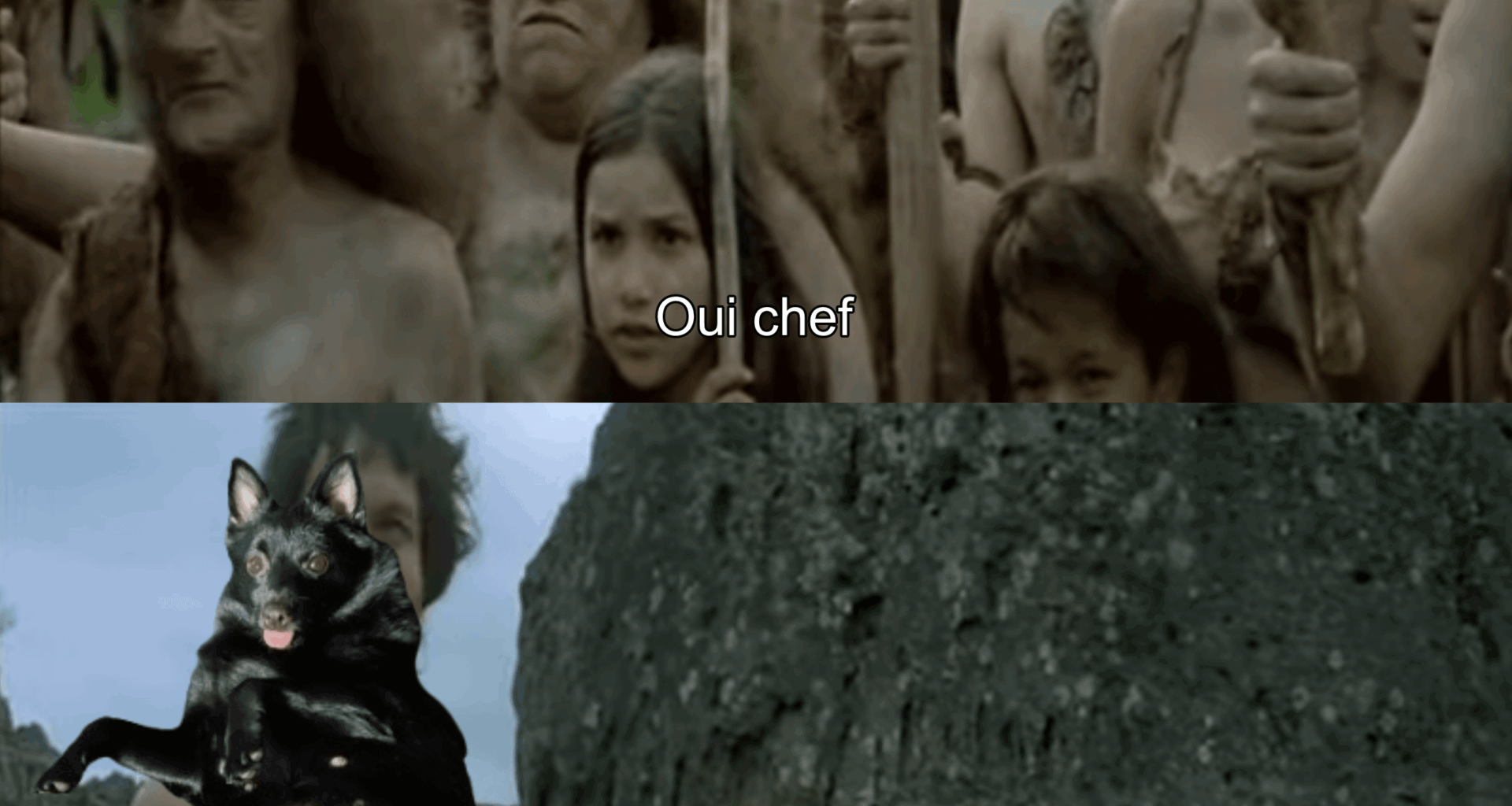 Elle est magnifique je sais