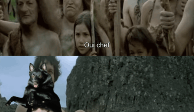 Elle est magnifique je sais