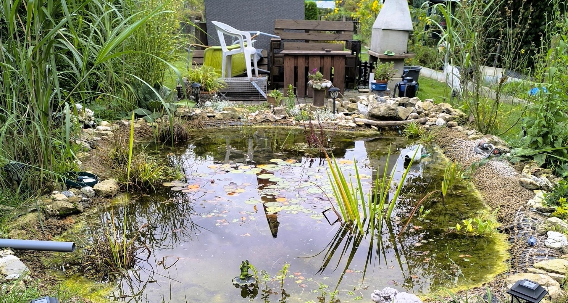 Benötige euer Wissen!!!