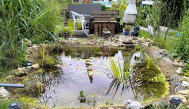 Benötige euer Wissen!!!