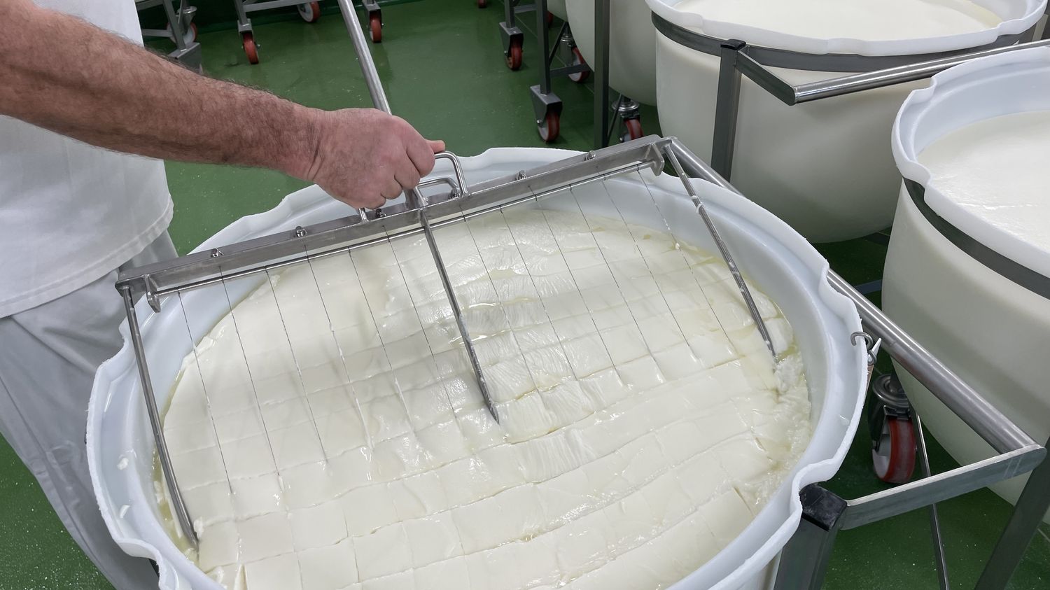 "À aucun stade, il n'y a eu de volonté de dissimulation", assure la fromagerie Chavegrand