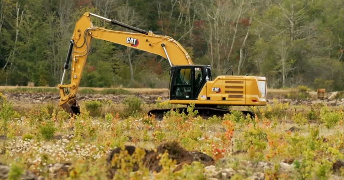 Massachusetts cranberry farmers choosing to restore their bogs into wetlands amid economic headwinds