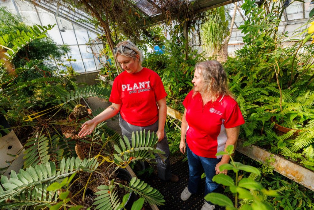 two people looking at plants