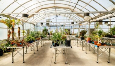 Green with envy: Greenhouse move benefits student access, plant health - News