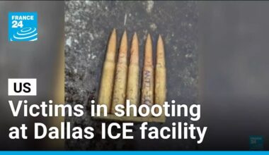 US: 1 detainee dead, 2 critically wounded in shooting at Dallas ICE facility • FRANCE 24 English