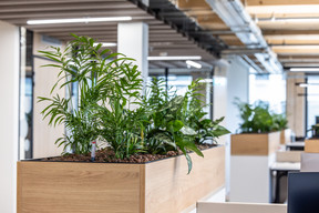 Espaces de bureaux chez Advanzia Bank Luxembourg. Tétris Luxembourg