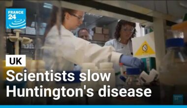 UK scientists slow Huntington's disease for first time • FRANCE 24 English