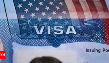 US warns migrant sponsors: 'Take responsibility or face fines, lawsuits, prosecution'