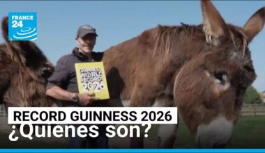 Un burro gigante y un cerdito en patines... estos son los Récord Guinness 2026