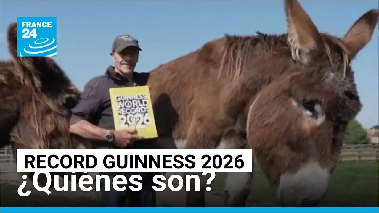 Un burro gigante y un cerdito en patines... estos son los Récord Guinness 2026