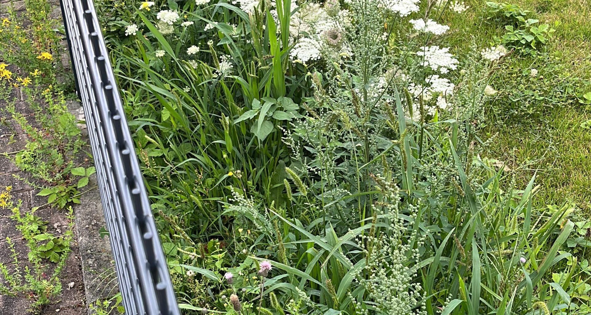 Wie soll ich hier anfangen