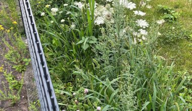 Wie soll ich hier anfangen