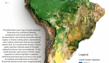 [OC] South America Landcover Map 2024 🌎