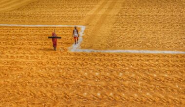 Nature-Based Solutions For Resilient Food Systems – Analysis – Eurasia Review