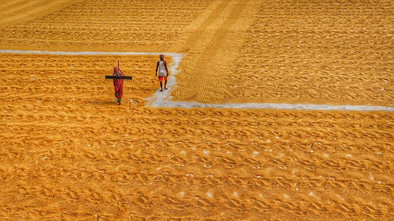 Nature-Based Solutions For Resilient Food Systems – Analysis – Eurasia Review