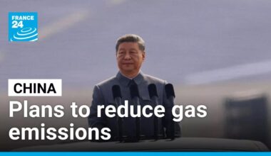 China announces plans to significantly reduce greenhouse gas emissions • FRANCE 24 English