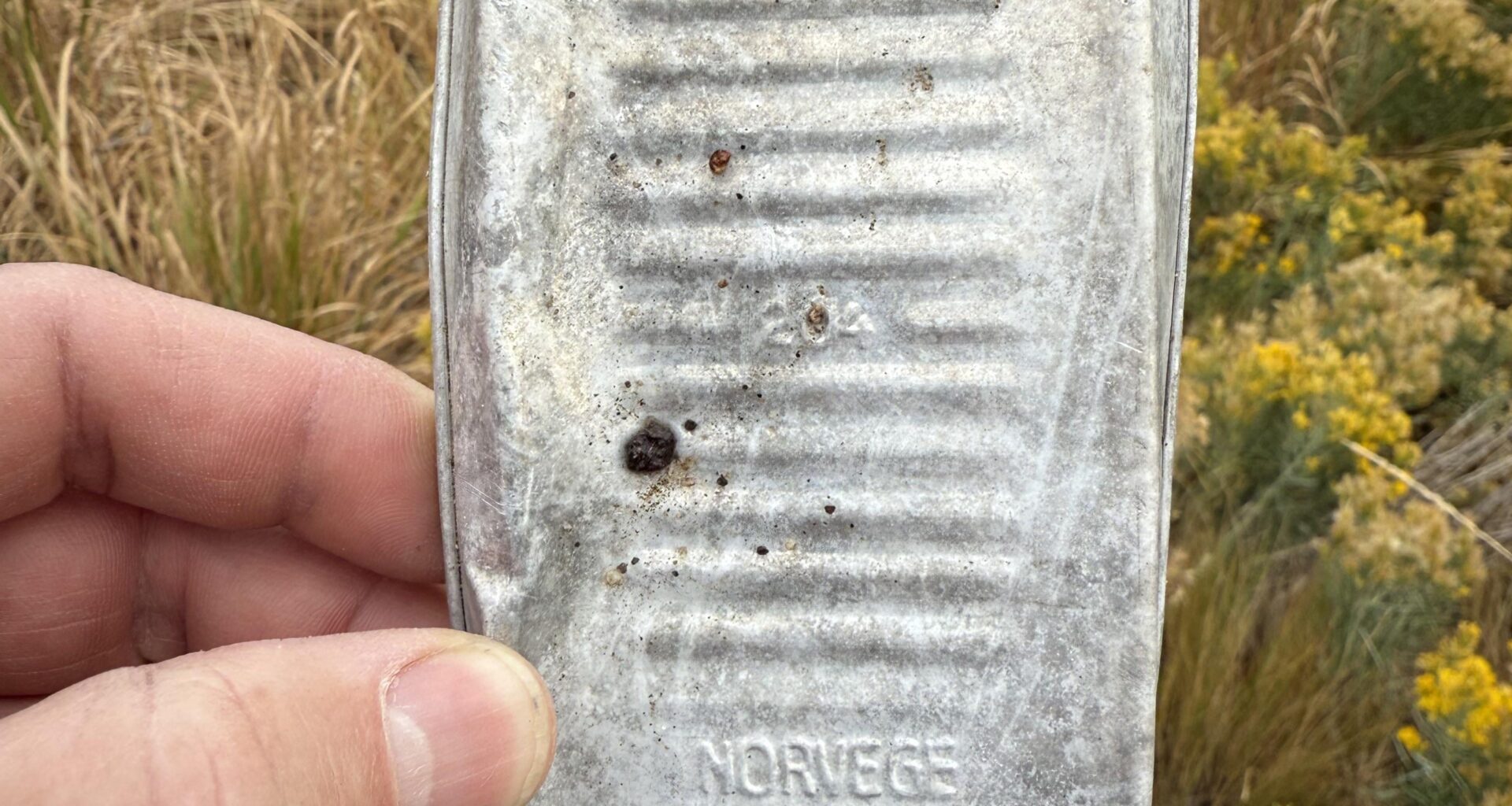 Found near an abandoned mine in S-central Idaho