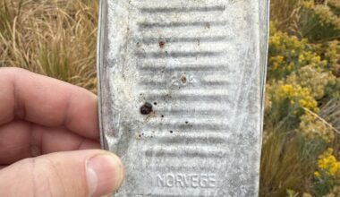 Found near an abandoned mine in S-central Idaho