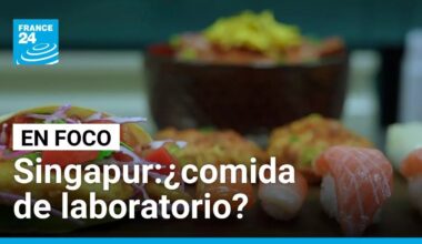 En Singapur, la comida del futuro se cocina en un laboratorio • FRANCE 24 Español