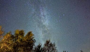 Sweden last night