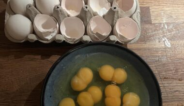 Sju stycken dubbla äggulor på raken