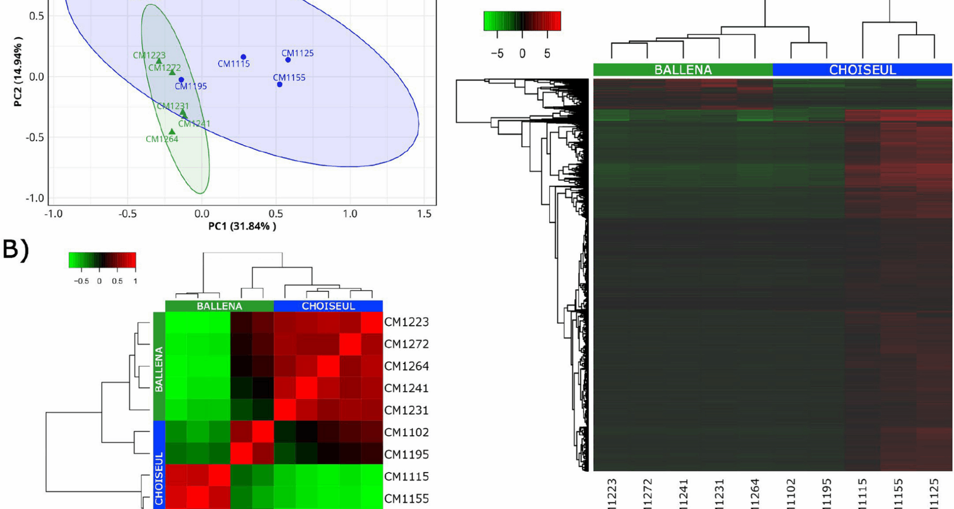 Environmental variability drives functional plasticity in the gill-associated microbiome of Lithodes santolla: a meta-transcriptomic perspective | Microbiome