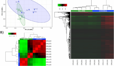 Environmental variability drives functional plasticity in the gill-associated microbiome of Lithodes santolla: a meta-transcriptomic perspective | Microbiome