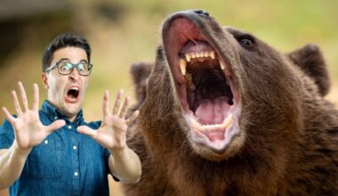 ШОК И УЖАС: Мечка тръгна по улиците на наш град! - България