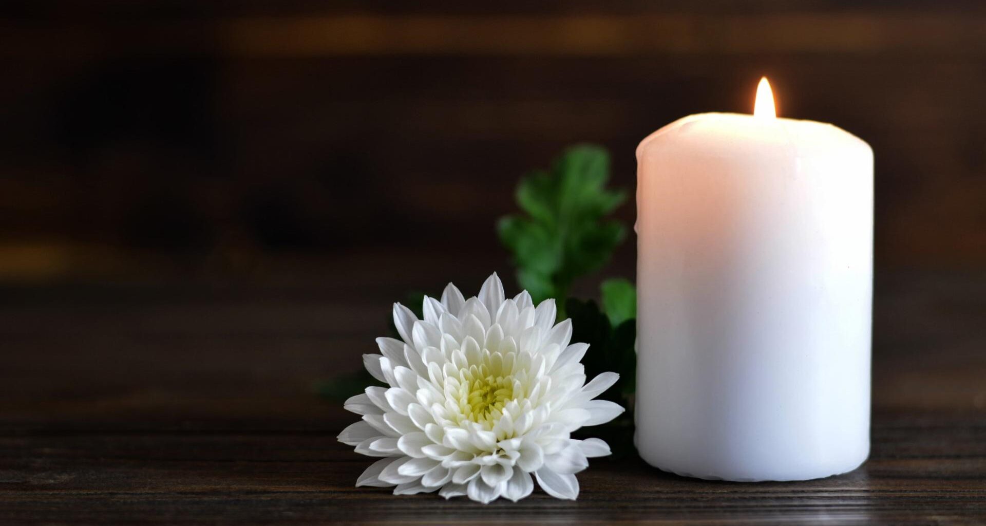 Звездата от „Танцуващият с вълци“ Греъм Грийн почина на 73 години - Свят