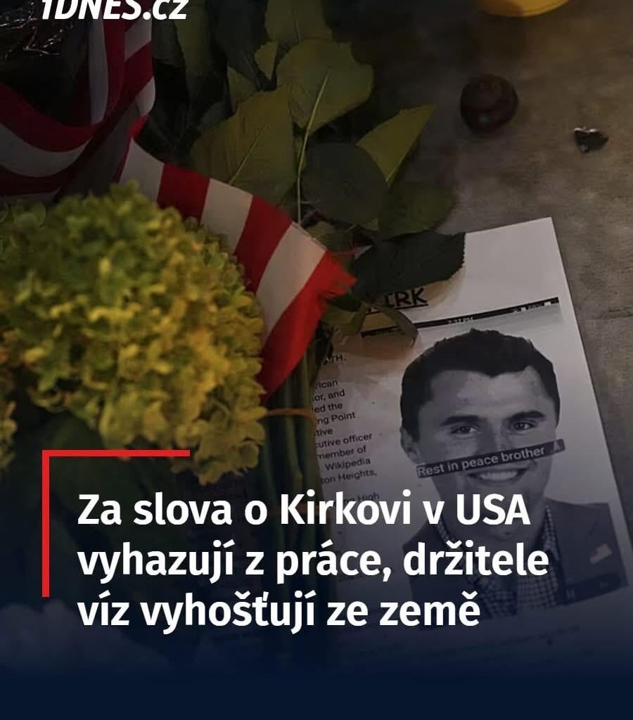 Bizár vlevo, bizár vpravo