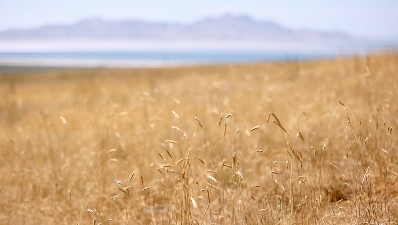 Small Business Administration providing loans for drought-impacted Utah businesses
