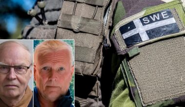 Sveriges starka försvar ett ryggstöd för Finland