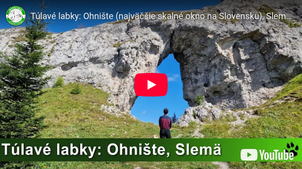 Michal Kováč - turistika so psom: 