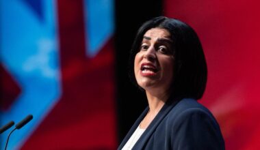 Reform’s immigration plans ‘worse than racist,’ Mahmood says