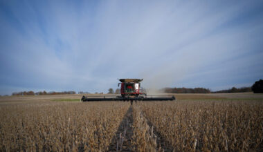 Sell US soybeans and get played by China