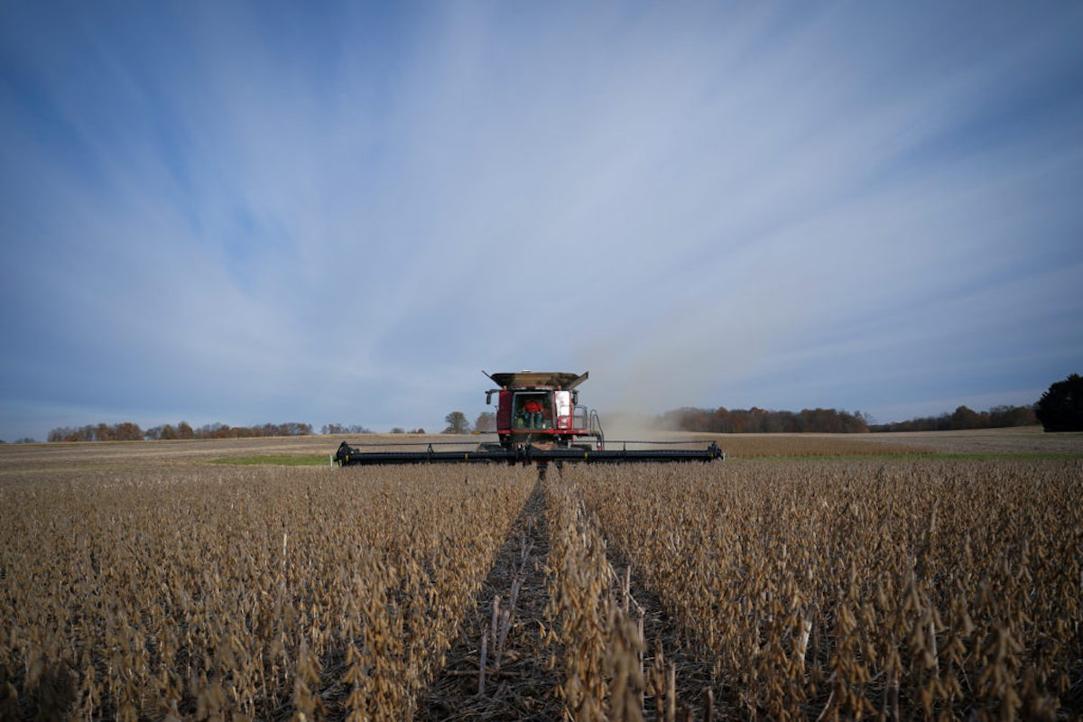 Sell US soybeans and get played by China