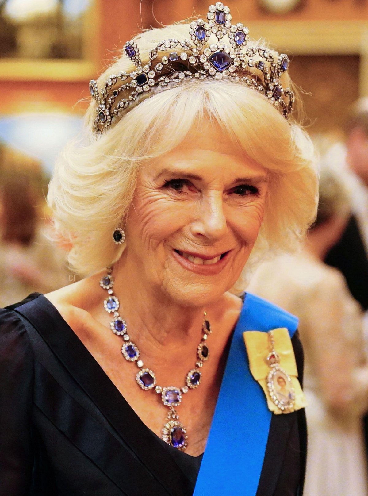 Queen Camilla is pictured during the Diplomatic Corps reception at Buckingham Palace in London, December 6, 2022 (Victoria Jones/PA Images/Alamy)