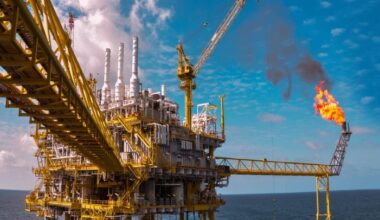 EGAS plans to launch 5 investment blocks in Mediterranean Sea for natural gas