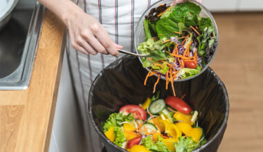 Food waste in Europe: facts, EU policies and 2030 targets | Topics